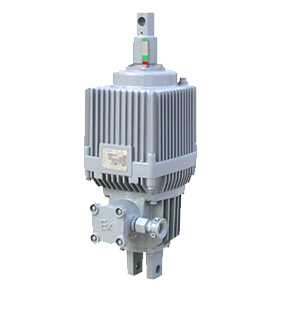 製(zhì)作精巧、危險係數低